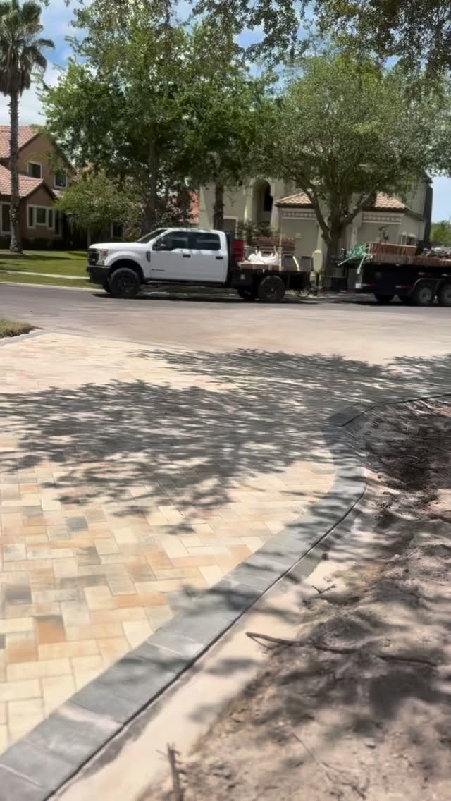 Curved driveway with shade tree